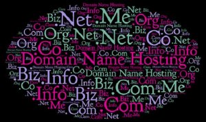 Domain Name Purchase